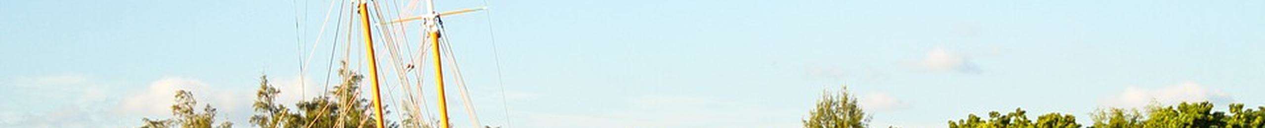 banner images