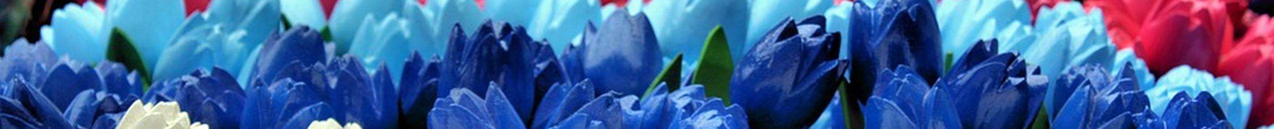 banner images