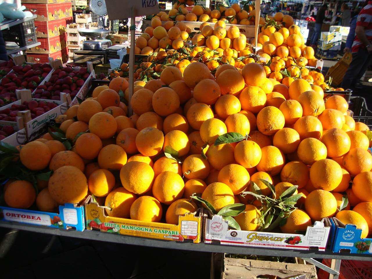 Sample Tour: A Philosophical Journey in Sicily with Philomobile